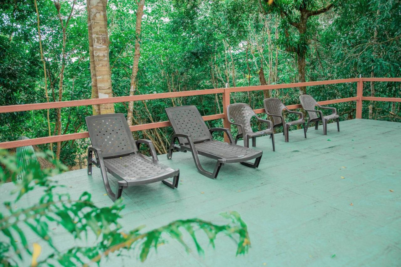 Caiman Eco Lodge Aguarico Zewnętrze zdjęcie